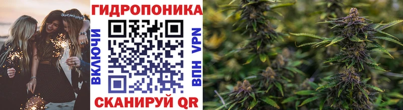 Бошки марихуана MAZAR  Купить где  Наволоки 